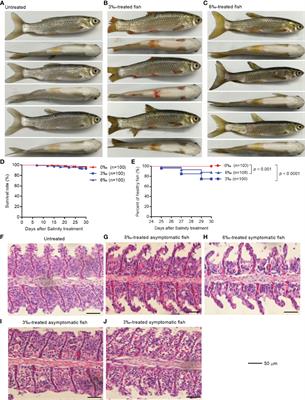 Effects and Molecular Regulation Mechanisms of Salinity Stress on the Health and Disease Resistance of Grass Carp